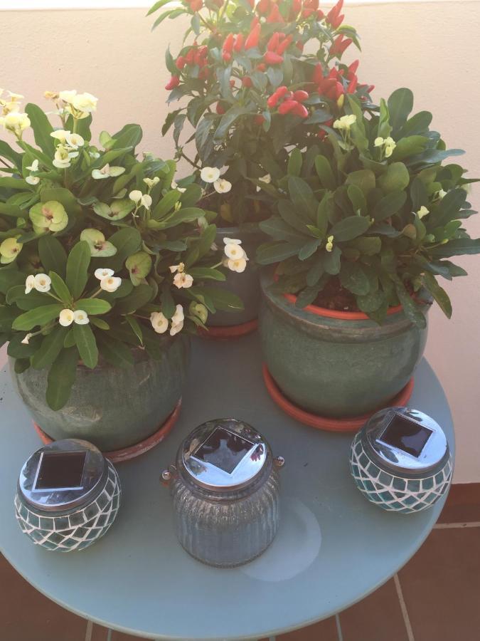 B&B Casa Louisa, Torre Del Mar- Valleniza Velez Malaga Ngoại thất bức ảnh
