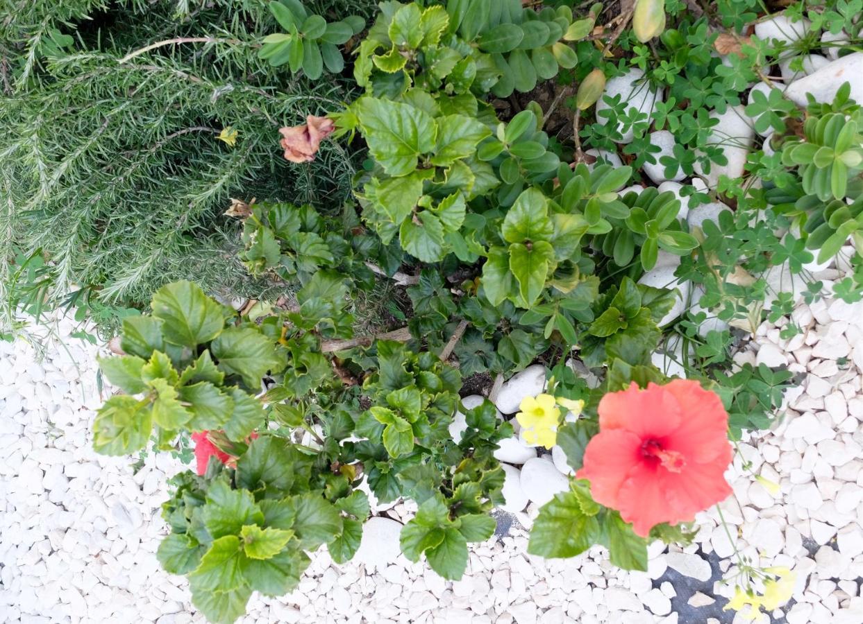 B&B Casa Louisa, Torre Del Mar- Valleniza Velez Malaga Ngoại thất bức ảnh