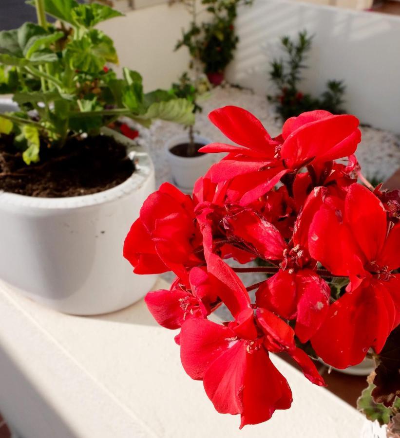 B&B Casa Louisa, Torre Del Mar- Valleniza Velez Malaga Ngoại thất bức ảnh